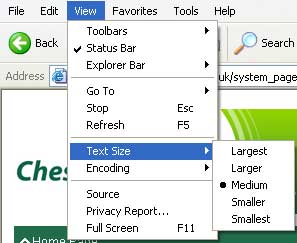 Increasing text size in Internet Explorer